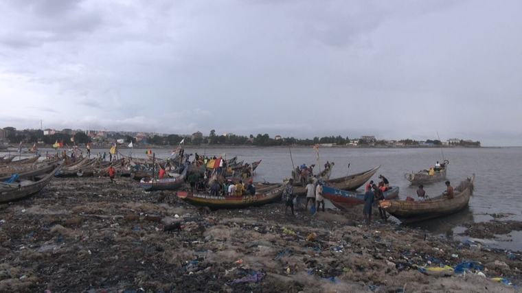 Guinée: après le repos biologique des poissons, la joyeuse animation au quai de Bonfi